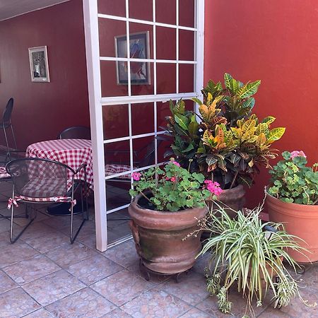 Hotel Camba Oaxaca Ngoại thất bức ảnh