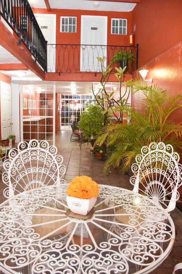 Hotel Camba Oaxaca Ngoại thất bức ảnh