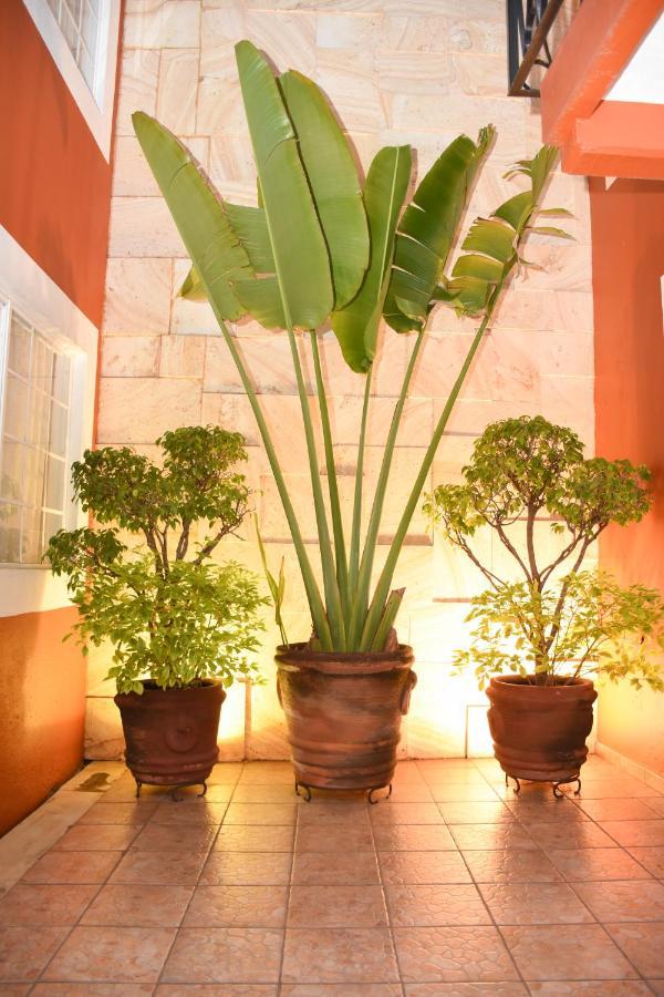 Hotel Camba Oaxaca Ngoại thất bức ảnh