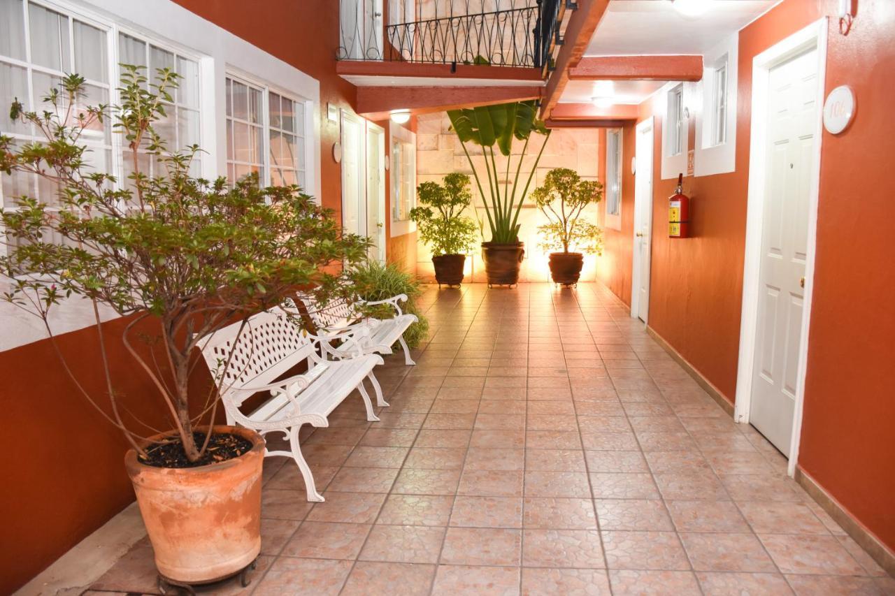 Hotel Camba Oaxaca Ngoại thất bức ảnh