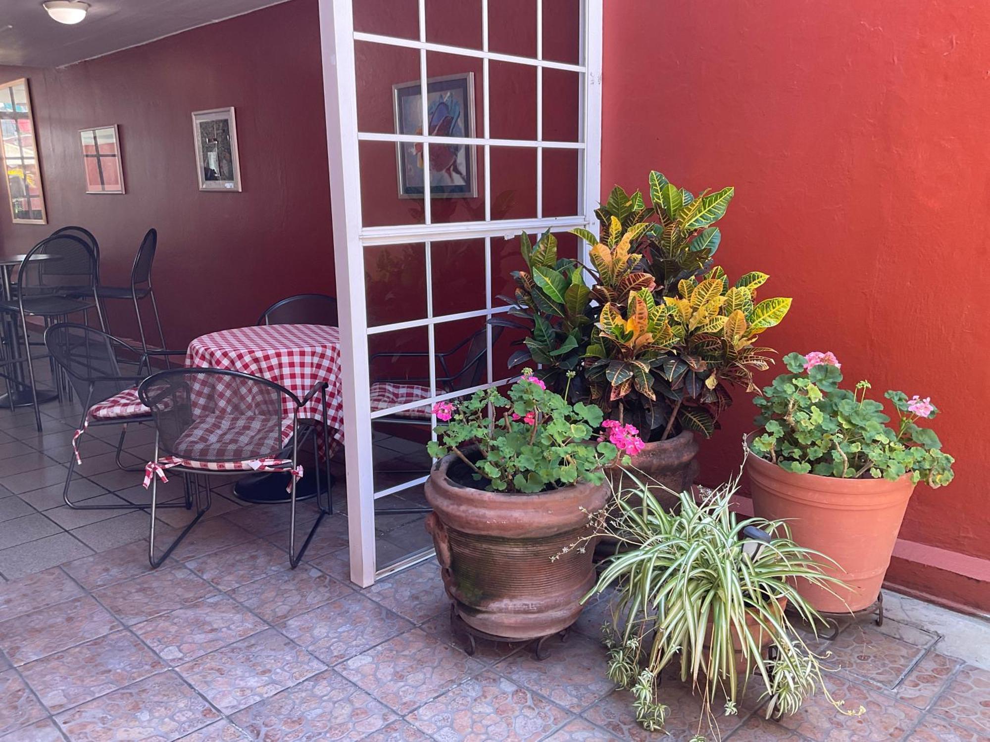Hotel Camba Oaxaca Ngoại thất bức ảnh