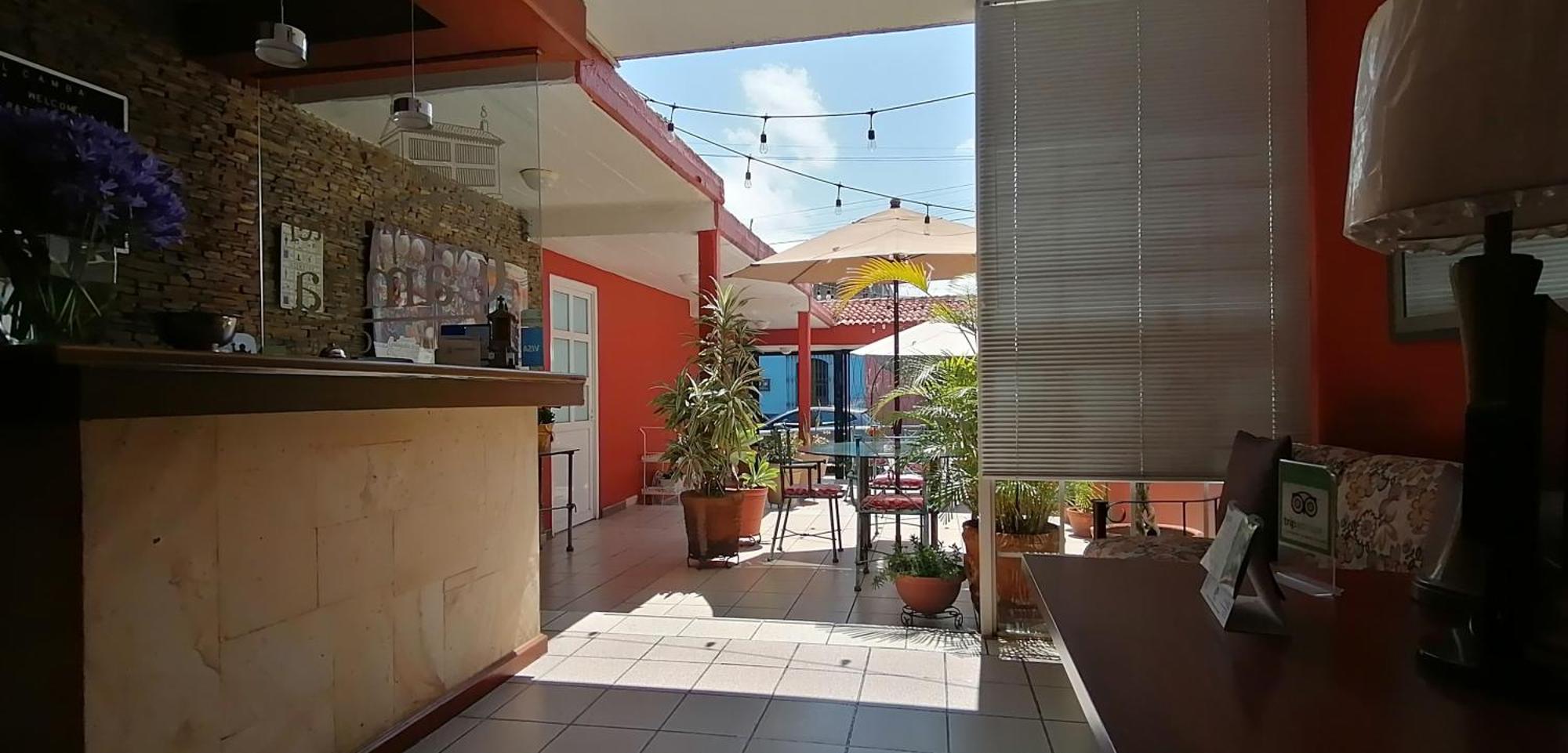 Hotel Camba Oaxaca Ngoại thất bức ảnh