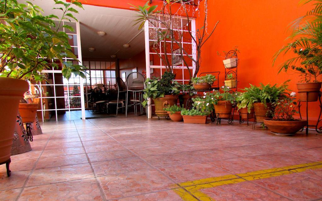 Hotel Camba Oaxaca Ngoại thất bức ảnh