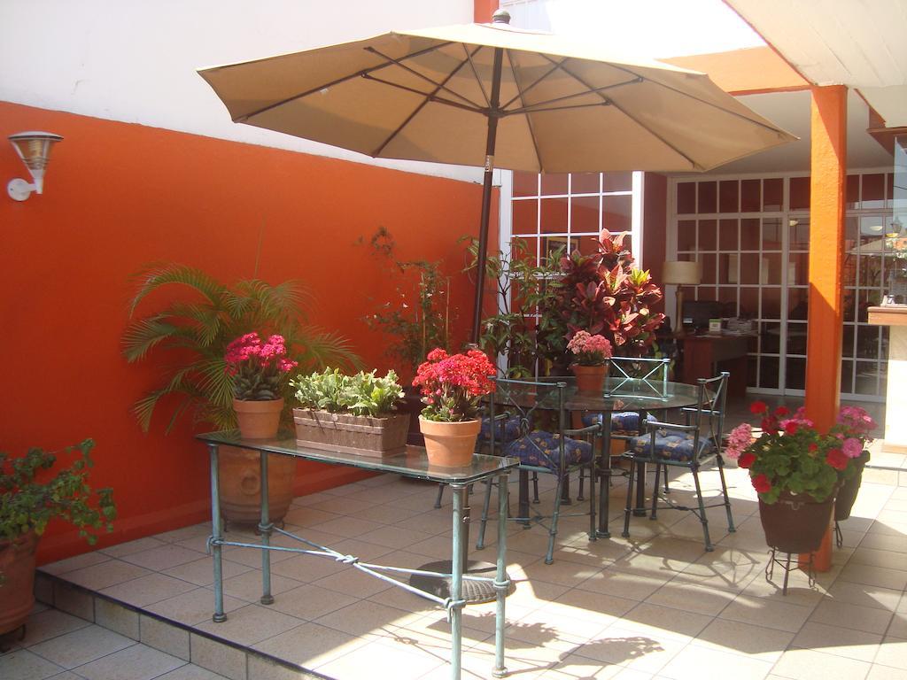 Hotel Camba Oaxaca Ngoại thất bức ảnh