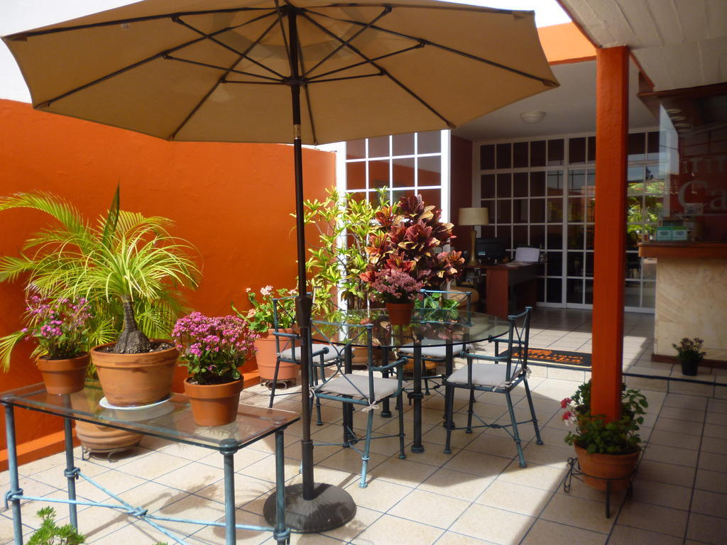 Hotel Camba Oaxaca Ngoại thất bức ảnh